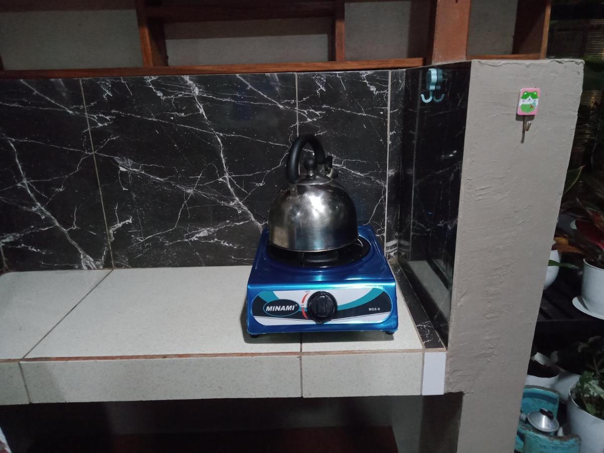 Dalinda'S Homestay Puerto Princesa Екстер'єр фото