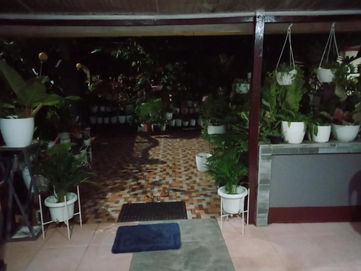 Dalinda'S Homestay Puerto Princesa Екстер'єр фото