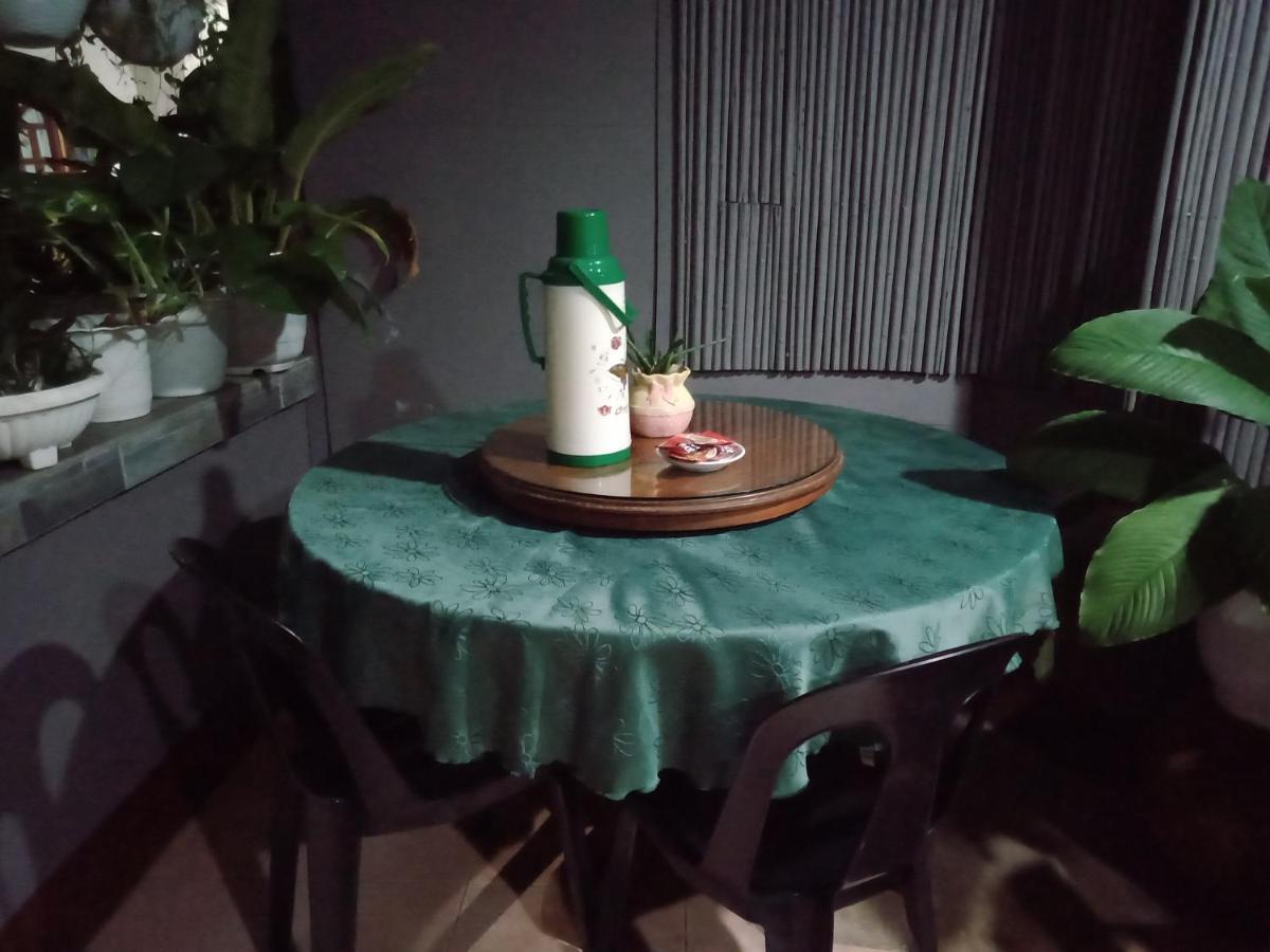 Dalinda'S Homestay Puerto Princesa Екстер'єр фото