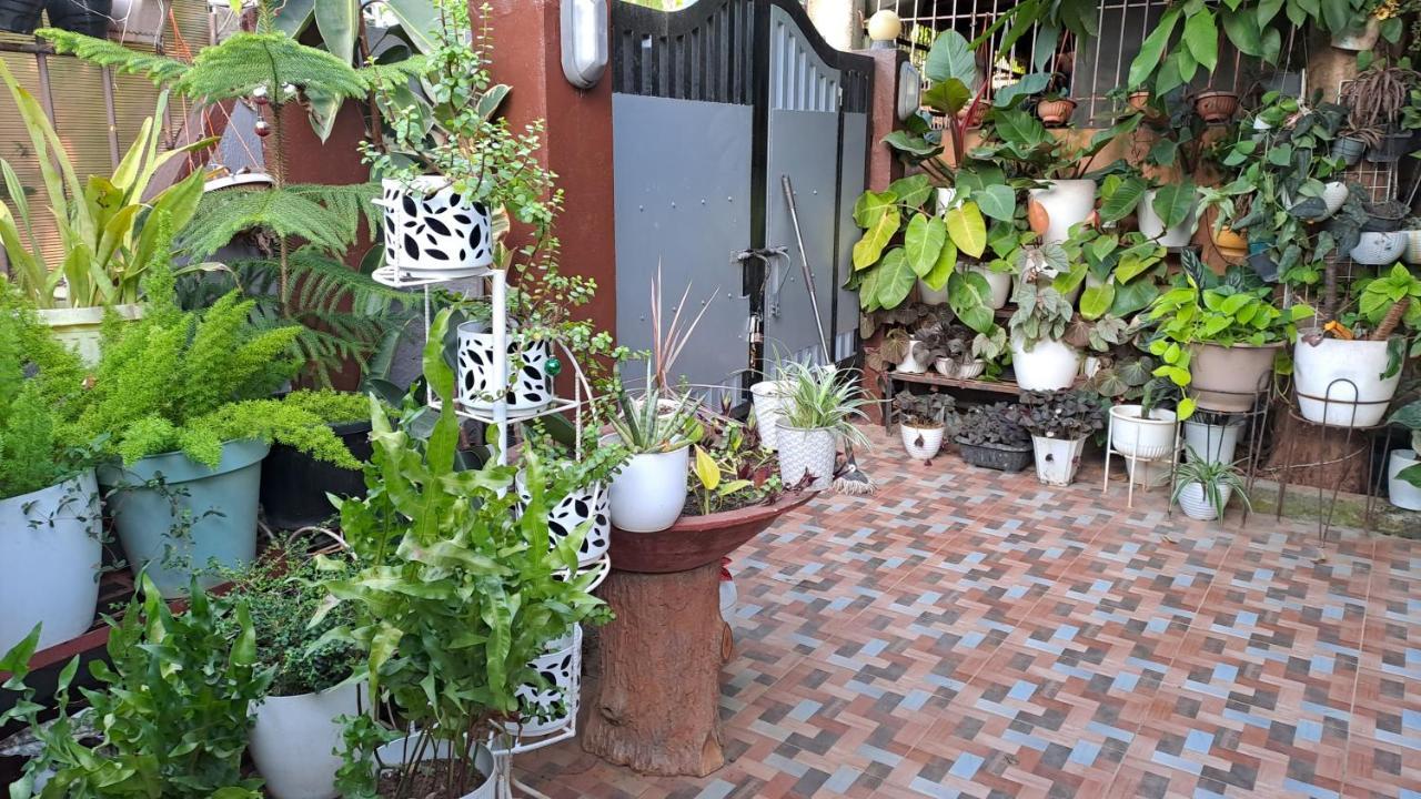 Dalinda'S Homestay Puerto Princesa Екстер'єр фото